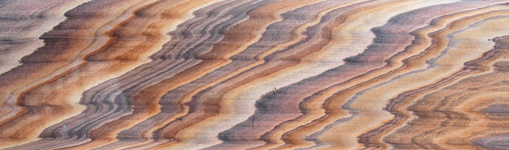 Clicca per ingrandire l'immagine