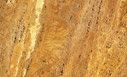 Travertino Giallo Spazzolato